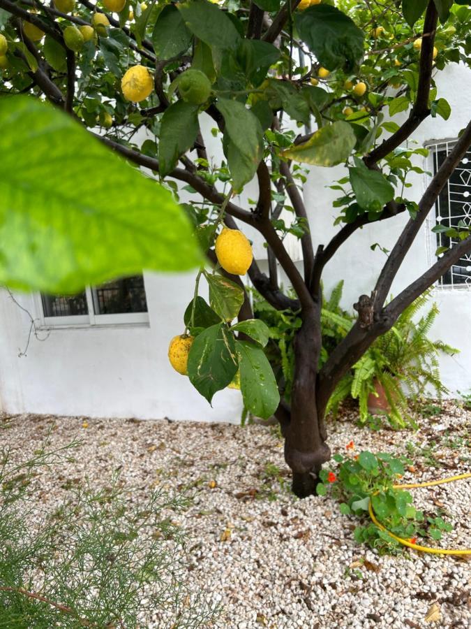 Avra House Villa Limassol Ngoại thất bức ảnh